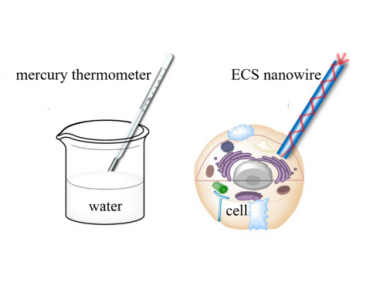 深技大參與研制出“測(cè)溫神器” 納米尺度溫度計(jì)
